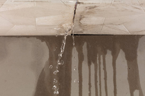 Professional Burst Pipe Cleanup technician working in Blackburn, MO